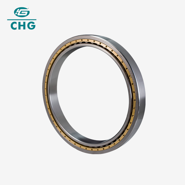 Single Row Cylindrical Roller Bearing Single Row Cylindrical Roller Bearing
