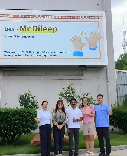Singapore Client Visits CHG Bearing